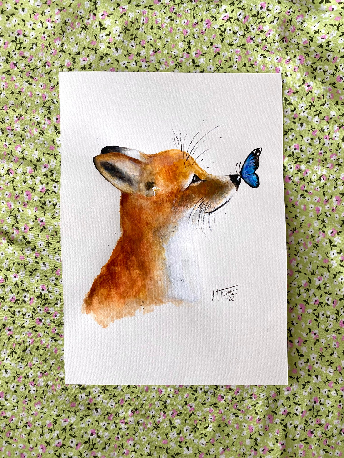 ”Fox”